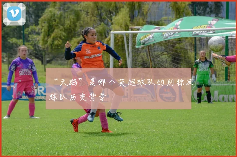 “天鹅”是哪个英超球队的别称及球队历史背景