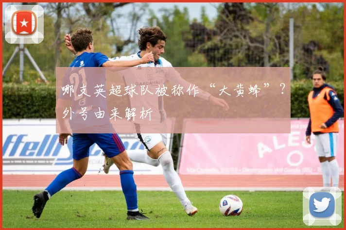 哪支英超球队被称作“大黄蜂”？外号由来解析