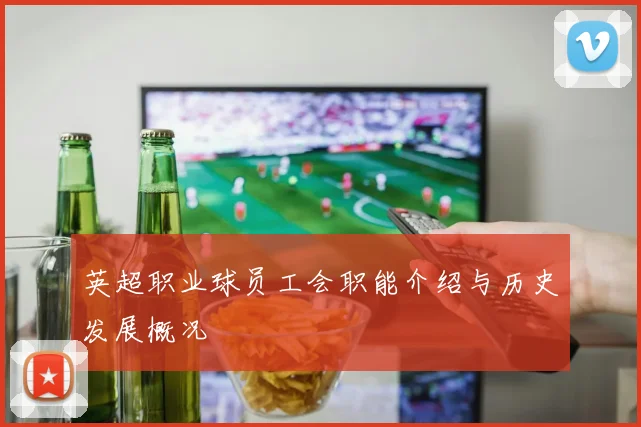 英超职业球员工会职能介绍与历史发展概况