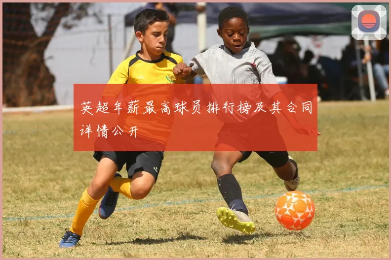 英超年薪最高球员排行榜及其合同详情公开