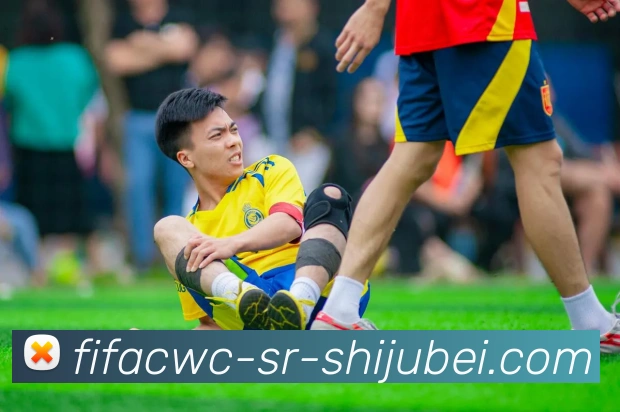 多媒体互动体验