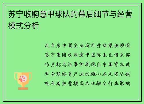 苏宁收购意甲球队的幕后细节与经营模式分析